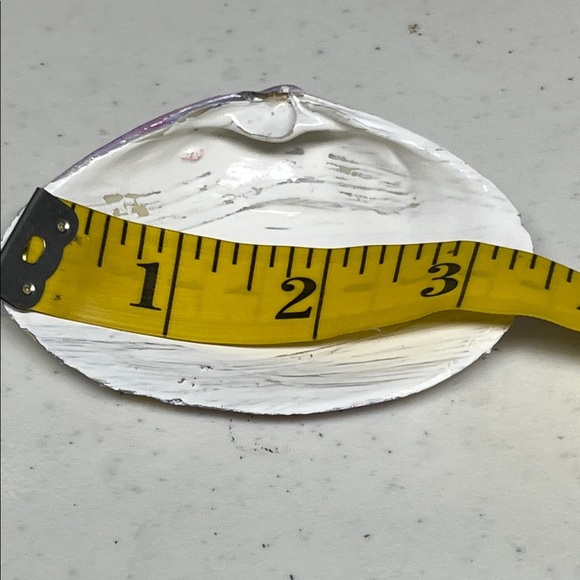 Hand-Painted Floral Decorative Shell - Picture 4 of 4